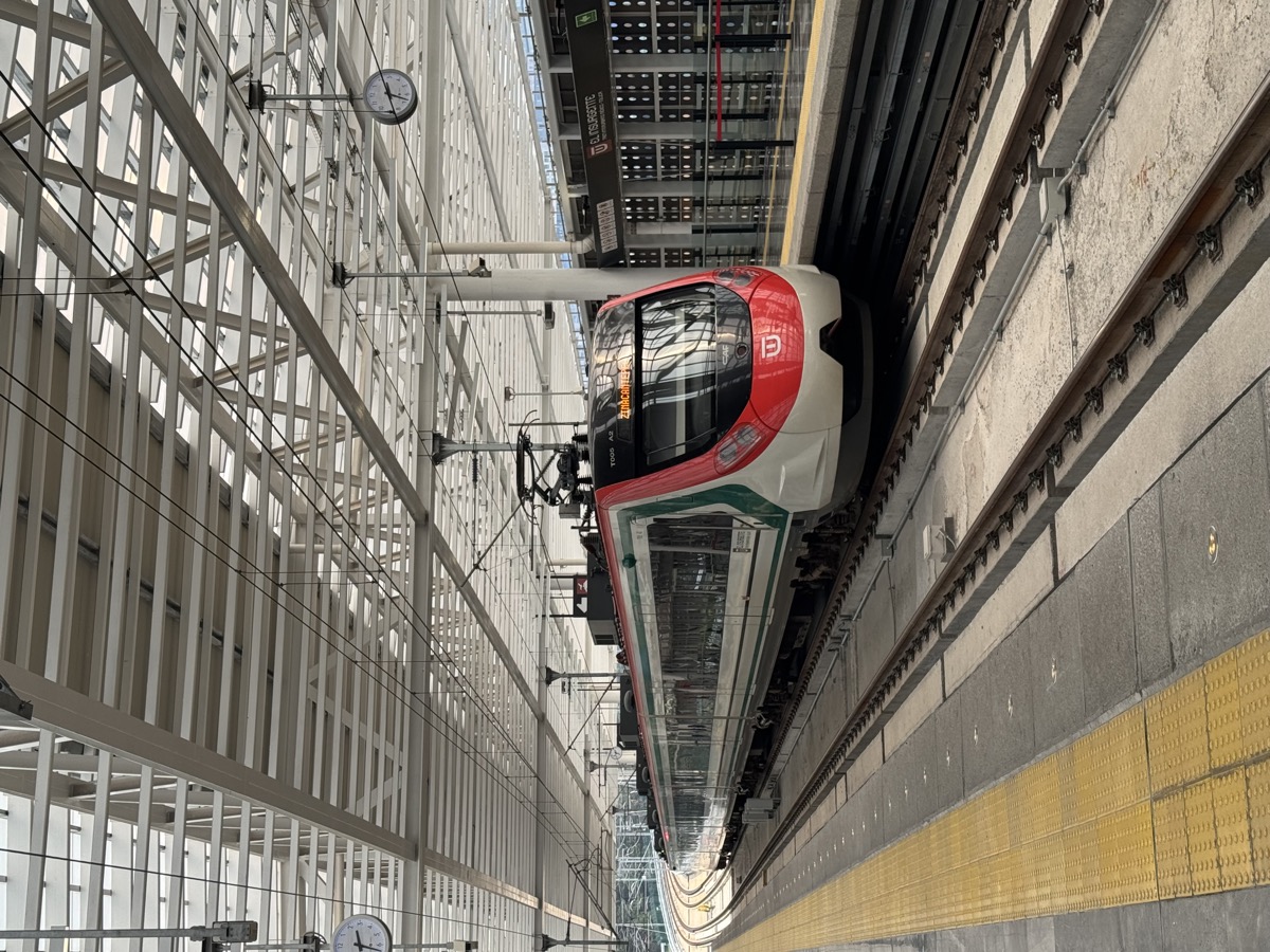 Tren Interurbano El Insurgente en estación Santa Fe